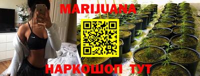 стаф Кингисепп