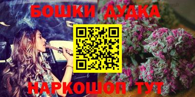 стаф Кингисепп