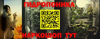 стаф Кингисепп
