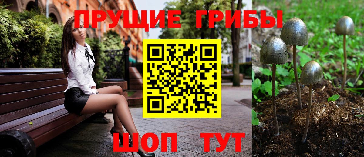 Галлюциногенные грибы ЛСД  Вход с VPN  наркотики  Галлюциногенные грибы Magic Shrooms  Кандалакша 